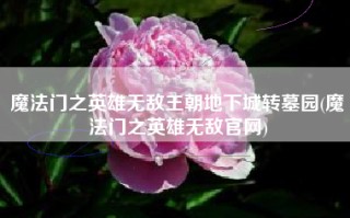 魔法门之英雄无敌王朝地下城转墓园(魔法门之英雄无敌官网)