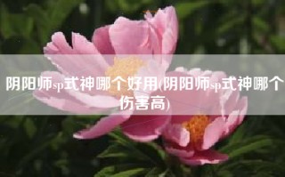 阴阳师sp式神哪个好用(阴阳师sp式神哪个伤害高)