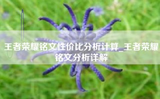 王者荣耀铭文性价比分析计算_王者荣耀铭文分析详解