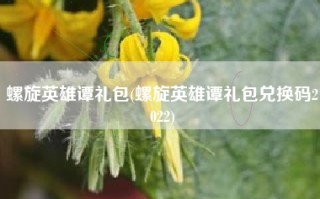 螺旋英雄谭礼包(螺旋英雄谭礼包兑换码2022)