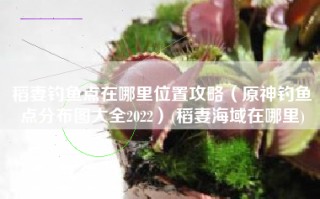 稻妻钓鱼点在哪里位置攻略（原神钓鱼点分布图大全2022）(稻妻海域在哪里)