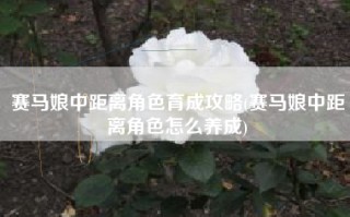 赛马娘中距离角色育成攻略(赛马娘中距离角色怎么养成)