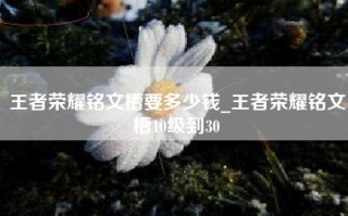 王者荣耀铭文槽要多少钱_王者荣耀铭文槽10级到30