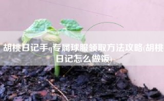 胡桃日记手q专属球服领取方法攻略(胡桃日记怎么做饭)