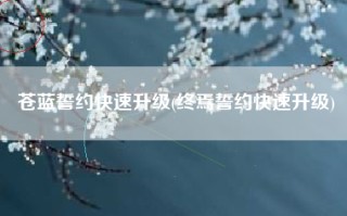 苍蓝誓约快速升级(终焉誓约快速升级)