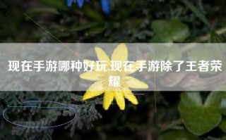 现在手游哪种好玩,现在手游除了王者荣耀