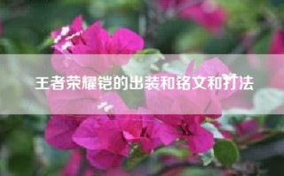王者荣耀铠的出装和铭文和打法