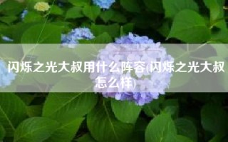 闪烁之光大叔用什么阵容(闪烁之光大叔怎么样)