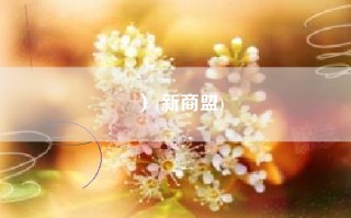）(新商盟)