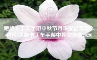跑跑卡丁车手游中秋节月饼配送车怎么获得(跑跑卡丁车手游中韩交流赛2020)