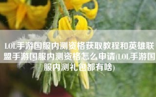 LOL手游国服内测资格获取教程和英雄联盟手游国服内测资格怎么申请(LOL手游国服内测礼包都有啥)