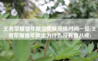 王者荣耀猪年限定皮肤返场时间一览(王者荣耀猪年限定为什么没有猪八戒)