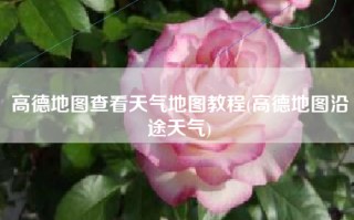 高德地图查看天气地图教程(高德地图沿途天气)