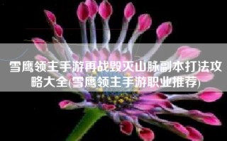 雪鹰领主手游再战毁灭山脉副本打法攻略大全(雪鹰领主手游职业推荐)