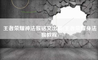 王者荣耀神法猴铭文出装(王者荣耀身法猴教程)