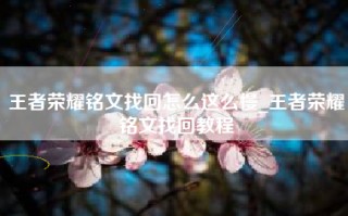 王者荣耀铭文找回怎么这么慢_王者荣耀铭文找回教程