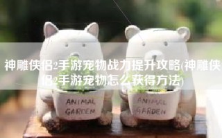 神雕侠侣2手游宠物战力提升攻略(神雕侠侣2手游宠物怎么获得方法)