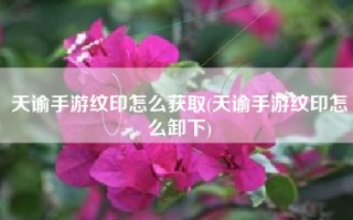 天谕手游纹印怎么获取(天谕手游纹印怎么卸下)