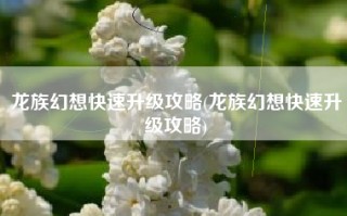 龙族幻想快速升级攻略(龙族幻想快速升级攻略)