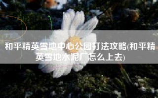 和平精英雪地中心公园打法攻略(和平精英雪地水泥厂怎么上去)