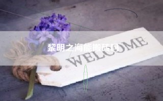 黎明之海能搬砖吗