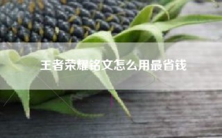 王者荣耀铭文怎么用最省钱