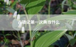 古镜记第一次典当什么