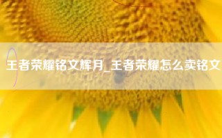王者荣耀铭文辉月_王者荣耀怎么卖铭文