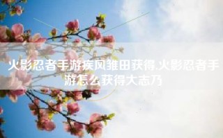 火影忍者手游疾风雏田获得,火影忍者手游怎么获得大志乃