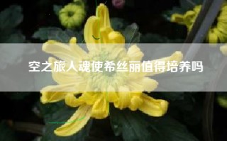 空之旅人魂使希丝丽值得培养吗