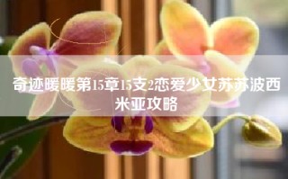 奇迹暖暖第15章15支2恋爱少女苏苏波西米亚攻略