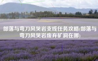 部落与弯刀风哭岩支线任务攻略(部落与弯刀风哭岩废弃矿洞在哪)