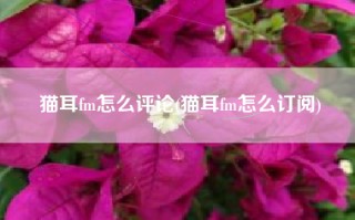 猫耳fm怎么评论(猫耳fm怎么订阅)