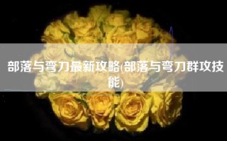 部落与弯刀最新攻略(部落与弯刀群攻技能)