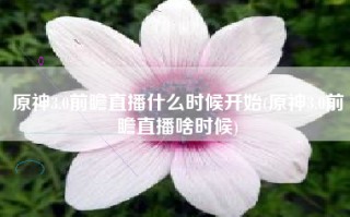 原神3.0前瞻直播什么时候开始(原神3.0前瞻直播啥时候)