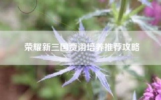 荣耀新三国贾诩培养推荐攻略