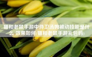 猫和老鼠手游中侍卫汤姆被动技能是什么 效果如何(猫和老鼠手游礼包码)