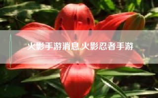 火影手游消息,火影忍者手游