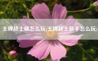 王牌战士蝶怎么玩(王牌战士新手怎么玩)