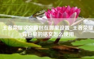 王者荣耀铭文背包在哪里设置_王者荣耀背包里的铭文怎么使用