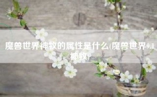 魔兽世界神牧的属性是什么(魔兽世界9.1神牧)