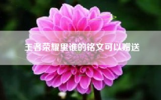 王者荣耀里谁的铭文可以赠送
