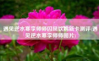 遇见逆水寒李师师囚凤饮鸩新卡测评(遇见逆水寒李师师图片)