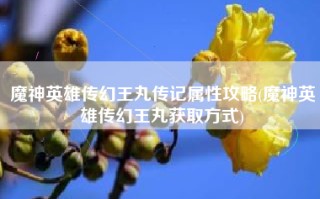 魔神英雄传幻王丸传记属性攻略(魔神英雄传幻王丸获取方式)