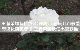 王者荣耀狄仁杰x公孙离x上官碗儿百般羞辱汉化版免费读(王者荣耀狄仁杰喜欢谁)