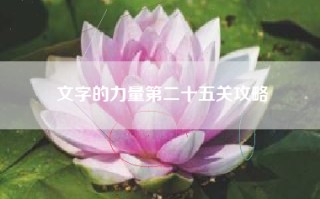 文字的力量第二十五关攻略