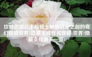 坎特伯雷公主与骑士唤醒冠军之剑的奇幻冒险世界1隐藏支线任务攻略(世界1隐藏支线通关一览)
