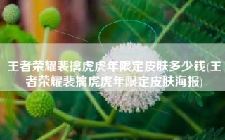 王者荣耀裴擒虎虎年限定皮肤多少钱(王者荣耀裴擒虎虎年限定皮肤海报)