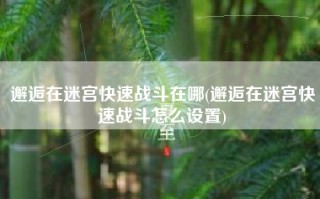 邂逅在迷宫快速战斗在哪(邂逅在迷宫快速战斗怎么设置)