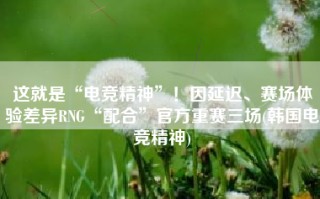 这就是“电竞精神”！因延迟、赛场体验差异RNG“配合”官方重赛三场(韩国电竞精神)